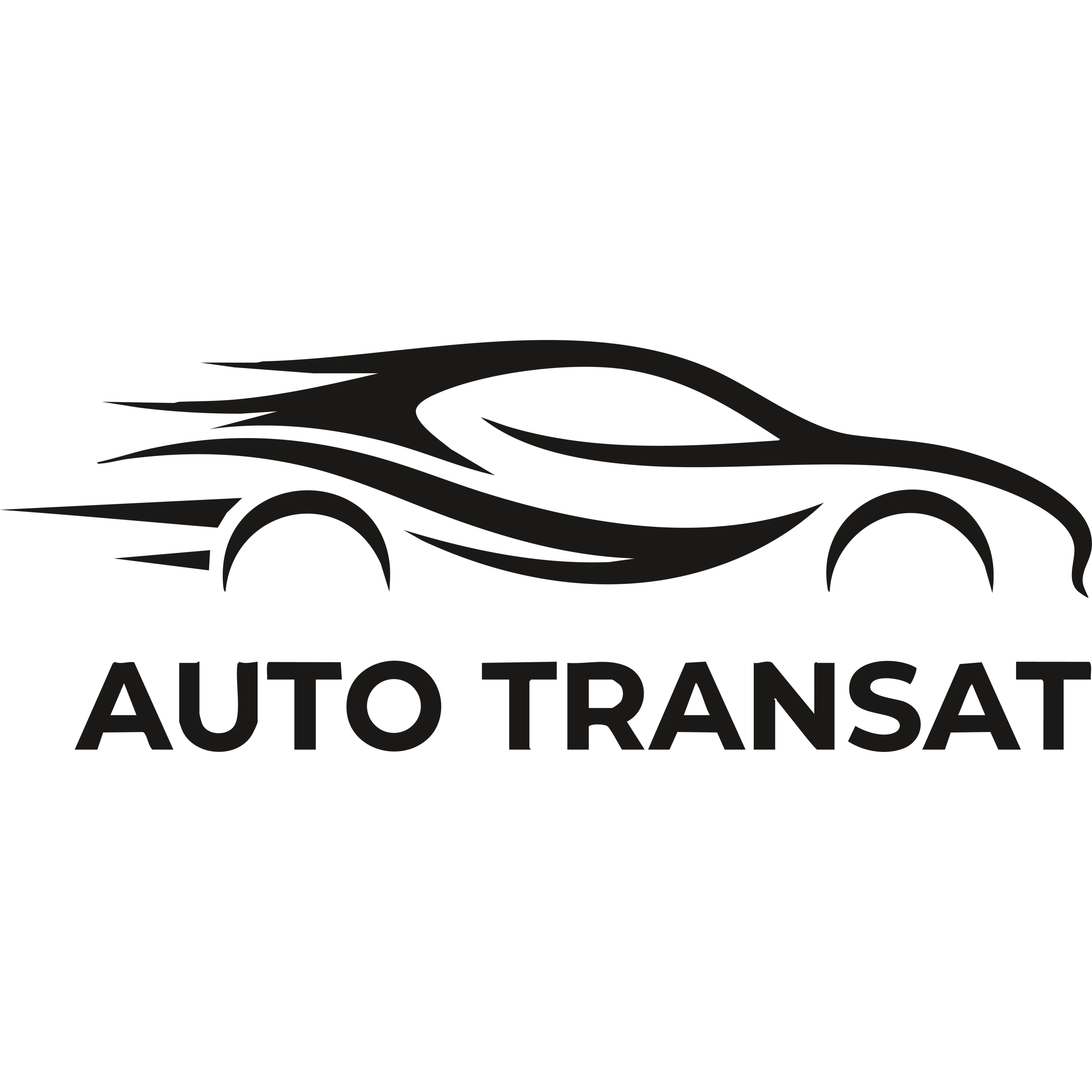Auto-Transat-icon